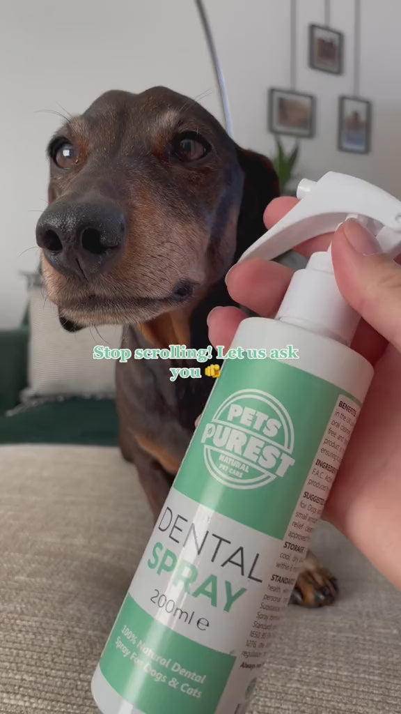 Pet Teeth Cleaning Spray