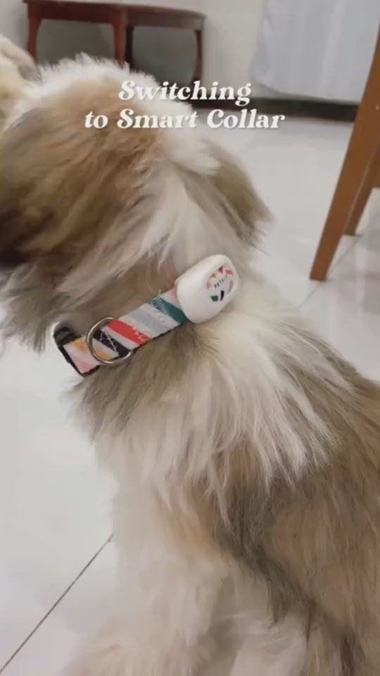 Smart Pet Collar